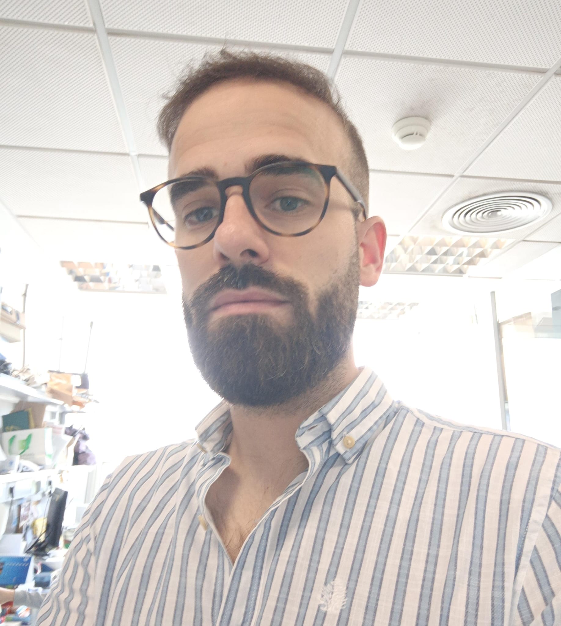 Team member